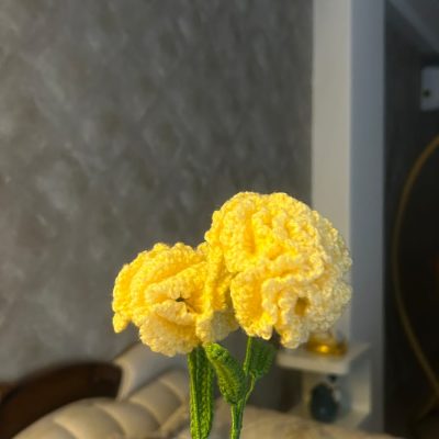 WhatsApp Image 2024-11-05 at 9.54.11 AM (7)