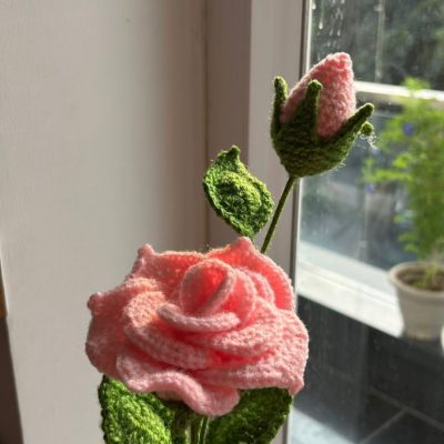 WhatsApp Image 2024-11-05 at 9.54.49 AM