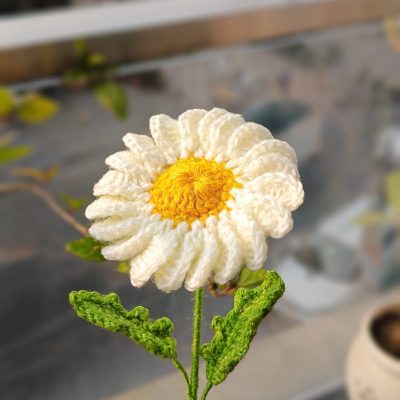 WhatsApp Image 2024-12-06 at 3.30.33 PM (1)