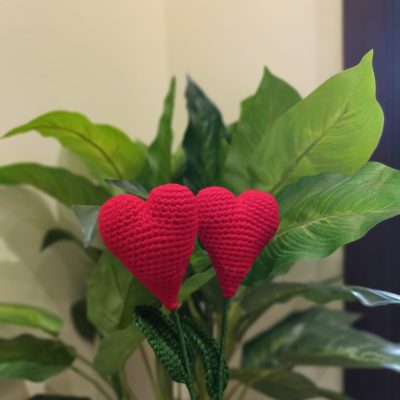 WhatsApp Image 2025-02-18 at 3.52.14 PM