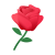 red-rose